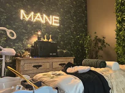 MANE - Head Spa