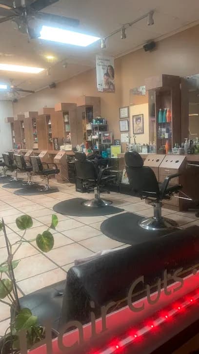 Ayur Beauty & Ayurvedic salon - Head Spa