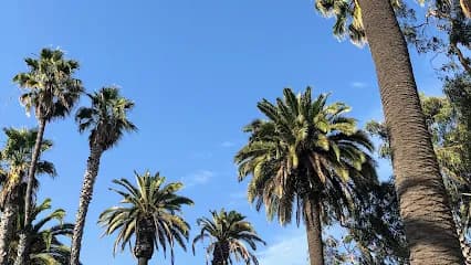 AUBE Hair salon - Head Spa