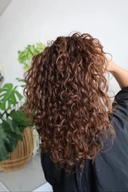 Our Hair Spa - Head Spa