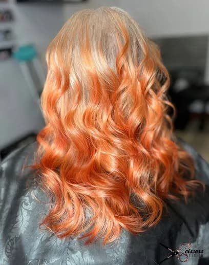 Scissors Studio LLC - Head Spa