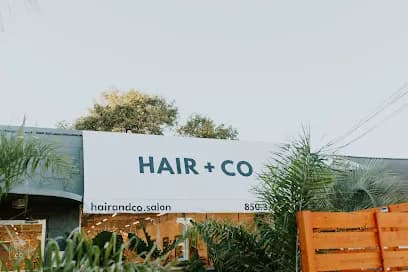 HAIR + CO - Head Spa