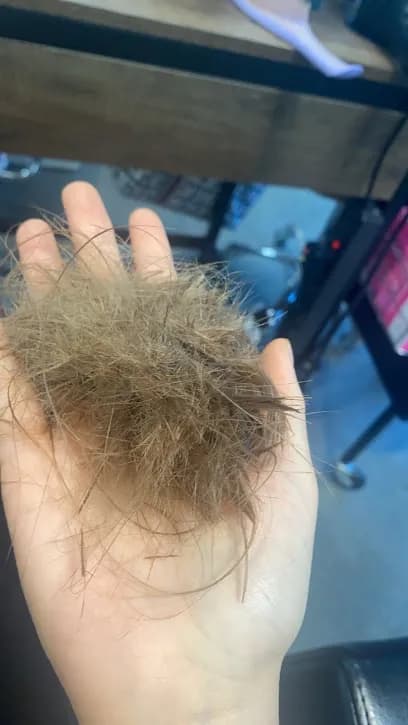 Renew Head Spa & Facial - Head Spa