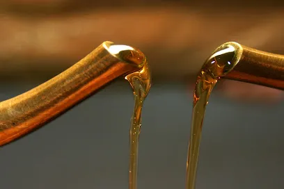 Tri Health Ayurveda Spa - Head Spa