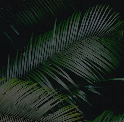 Salone Trè - Chicago Hair Salon - Head Spa