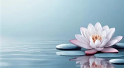 Red Lotus Wellness Center - Head Spa