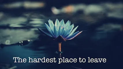 Blue Lotus Spa - Head Spa