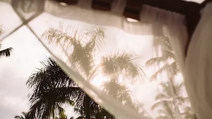 Salon Palm & Spa - Head Spa