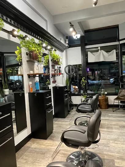 Luna Locks - Head Spa