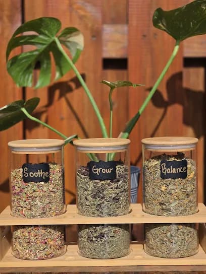 DMV Head Spa and Wellness - Head Spa