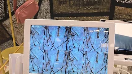 Oro Esthetics Spa - Head Spa