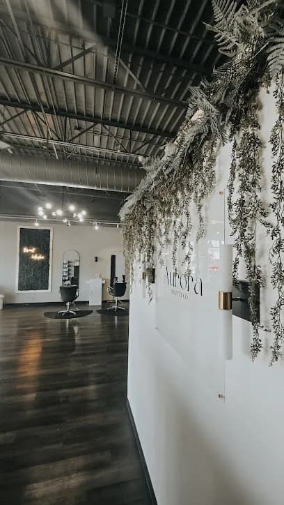 Aurora Beauty Co. - Head Spa