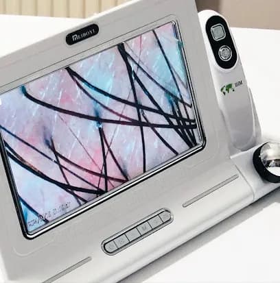 Haven Head Spa Lincoln - Head Spa