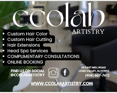 Ccolab Artistry - Head Spa