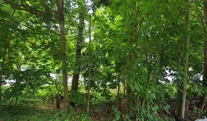 The Headspa at Westchester - Head Spa