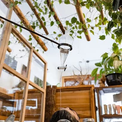 LiveEdge Salon + Spa - Head Spa