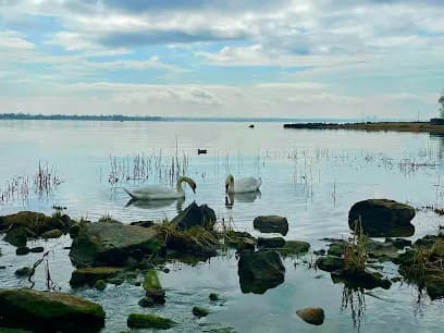 Still Point Ayurveda - Head Spa