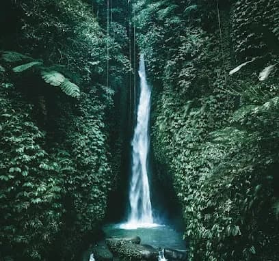 Austin Head Spa - Head Spa