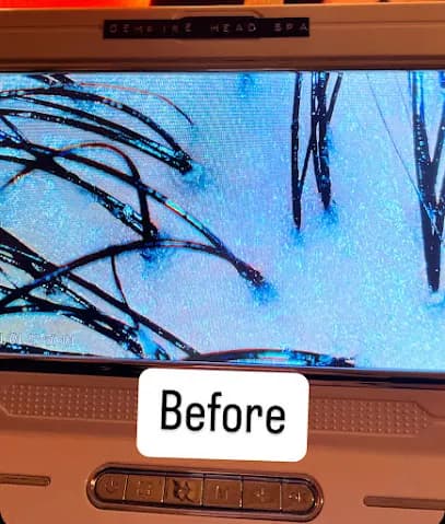 GEMPIRE HEAD SPA - Head Spa